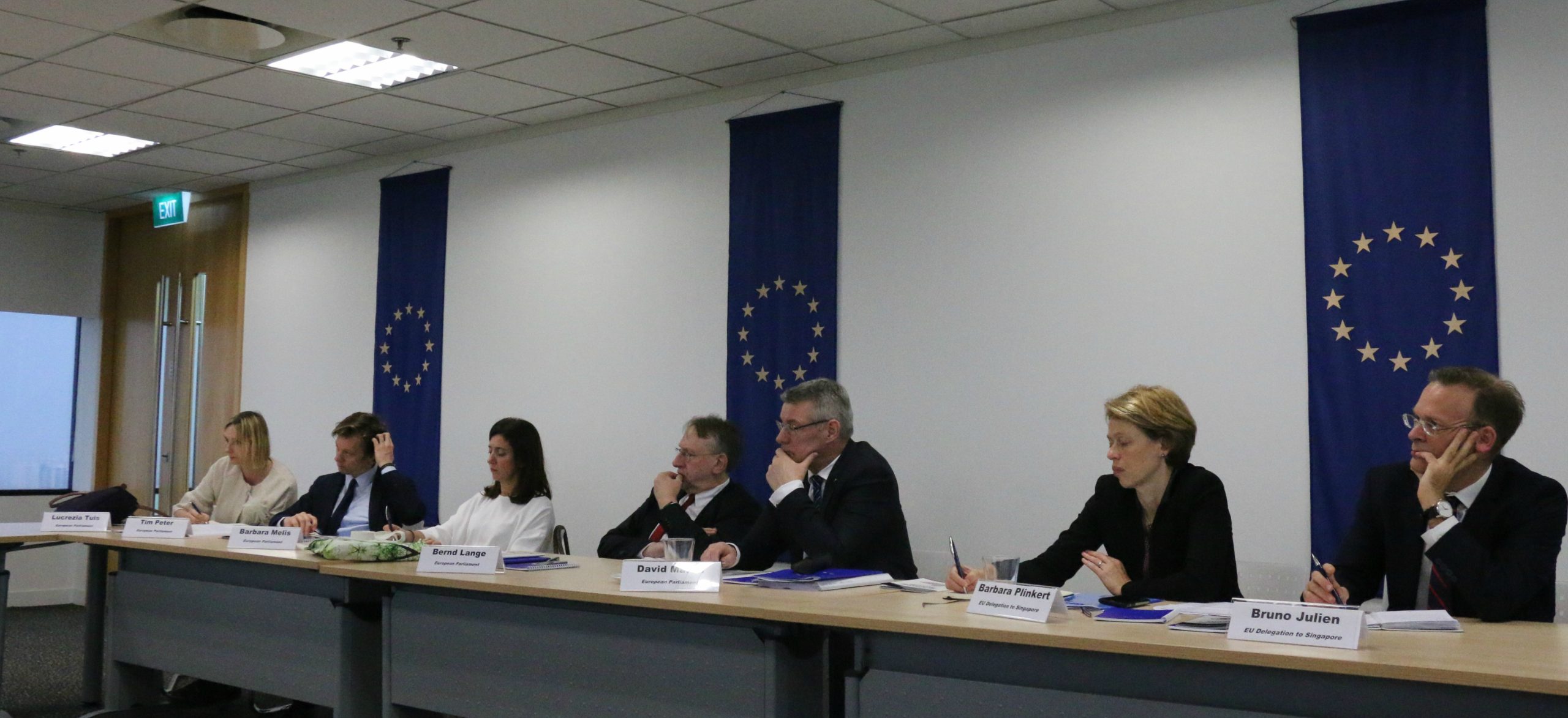 MEPs meeting with HR members