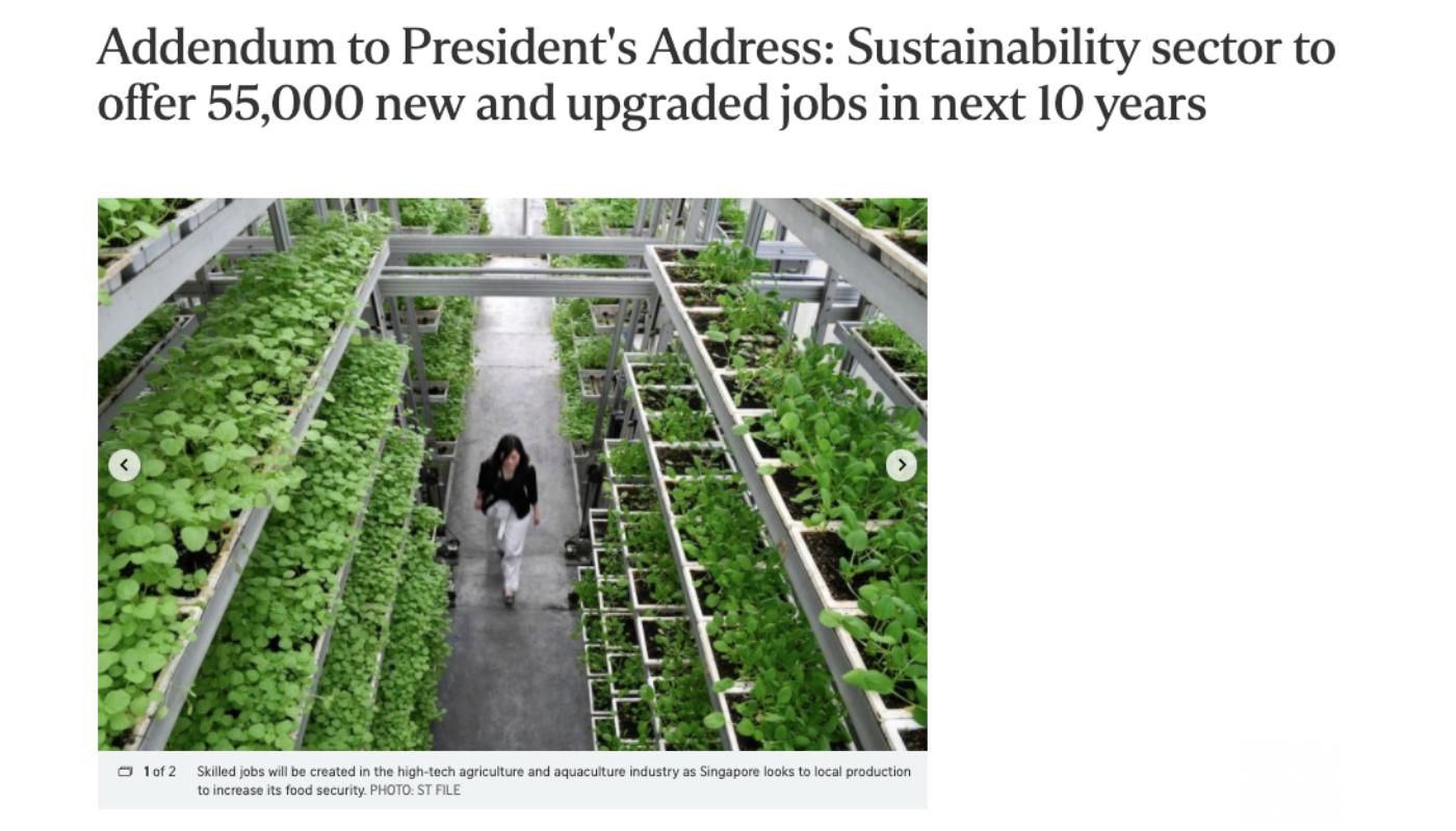 Addendum to President’s Address: Sustainability sector to offer 55,000 new and upgraded jobs in next 10 years – The Straits Times