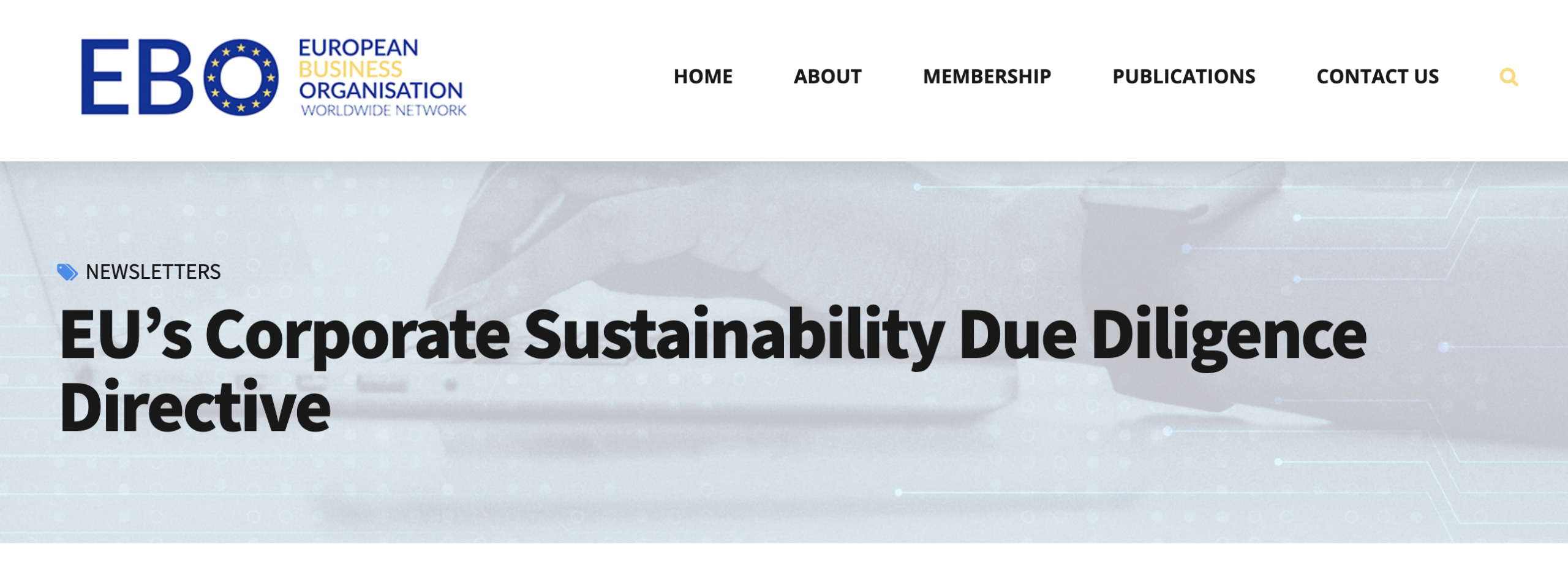 EU’s Corporate Sustainability Due Diligence Directive – EBO WN