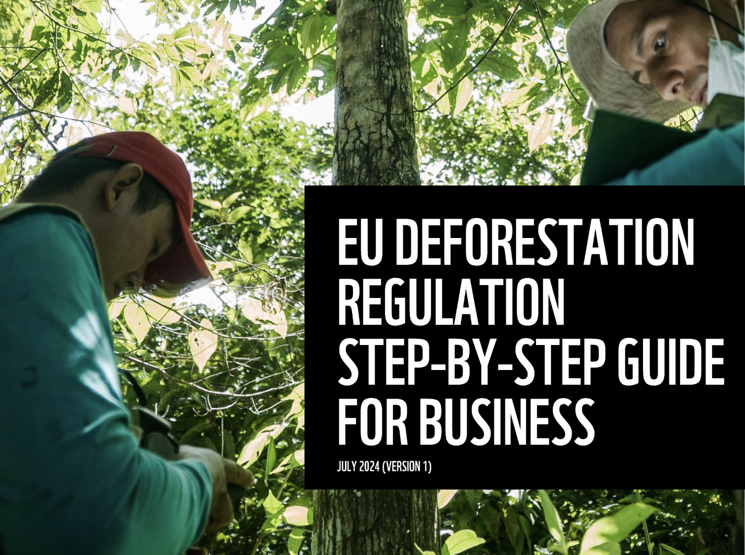 EU Deforestation Regulation Step-by-Step Guide for Businesses