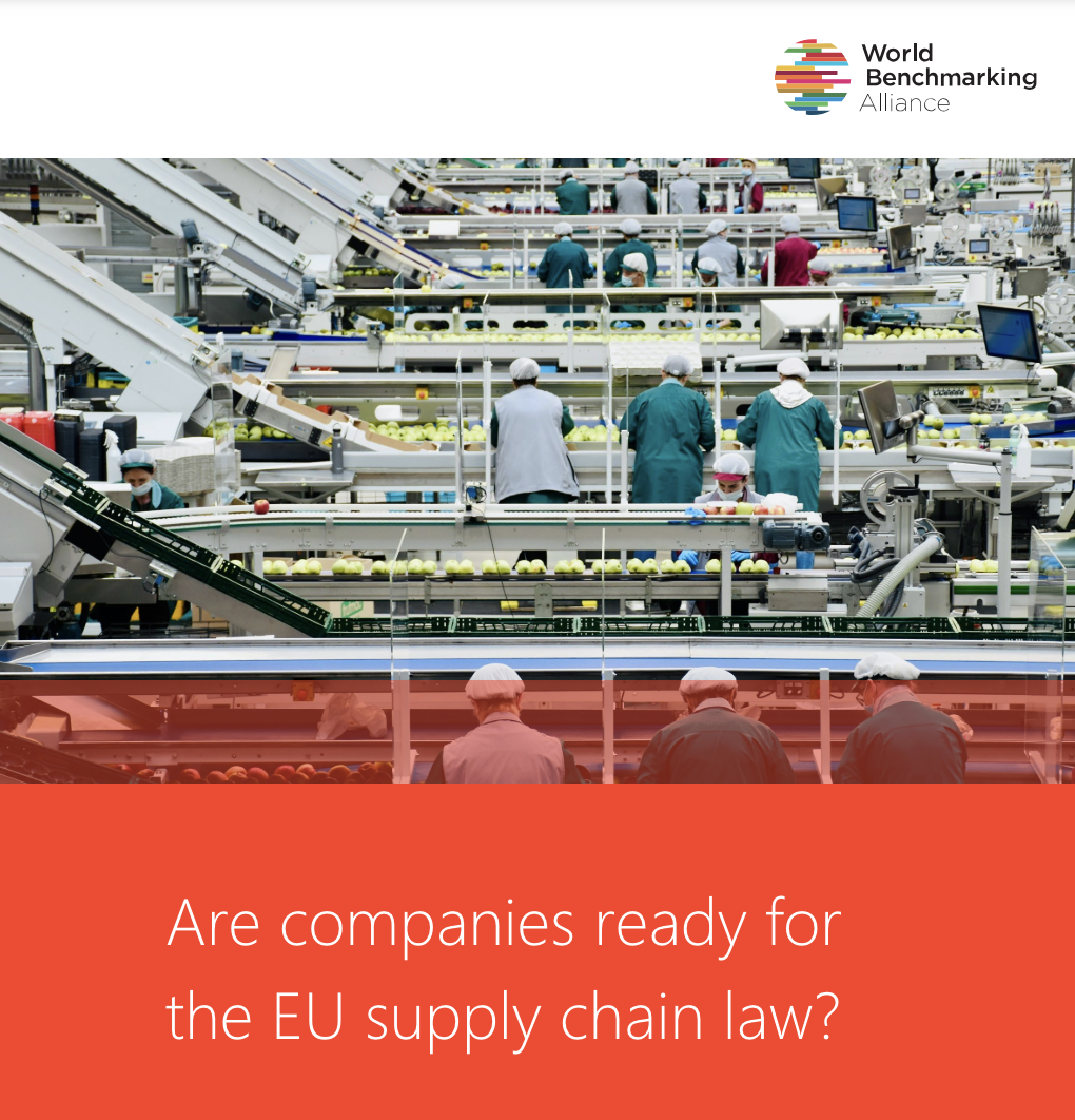 Are companies ready for the EU supply chain law?