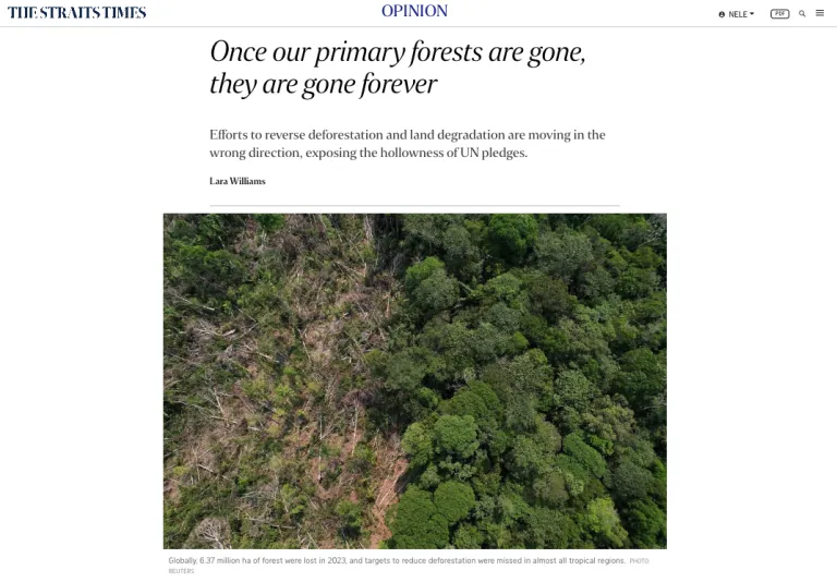 Once our primary forests are gone, they are gone forever – The Straits Times