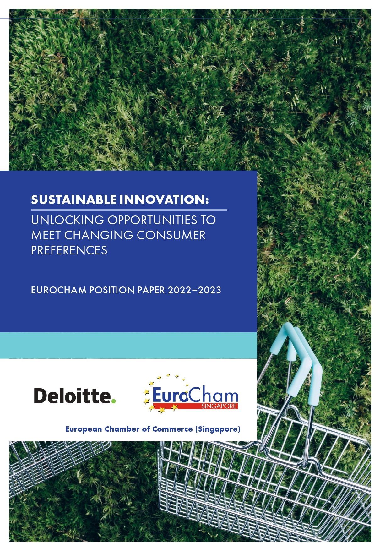 Position Paper – Sustainable Innovation: Unlocking Opportunities to Meet Changing Consumer Preferences