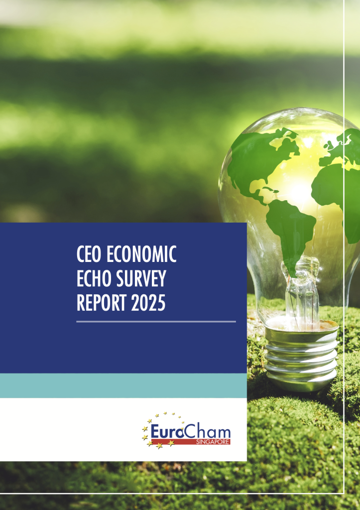 CEO Economic Echo Survey Report 2025