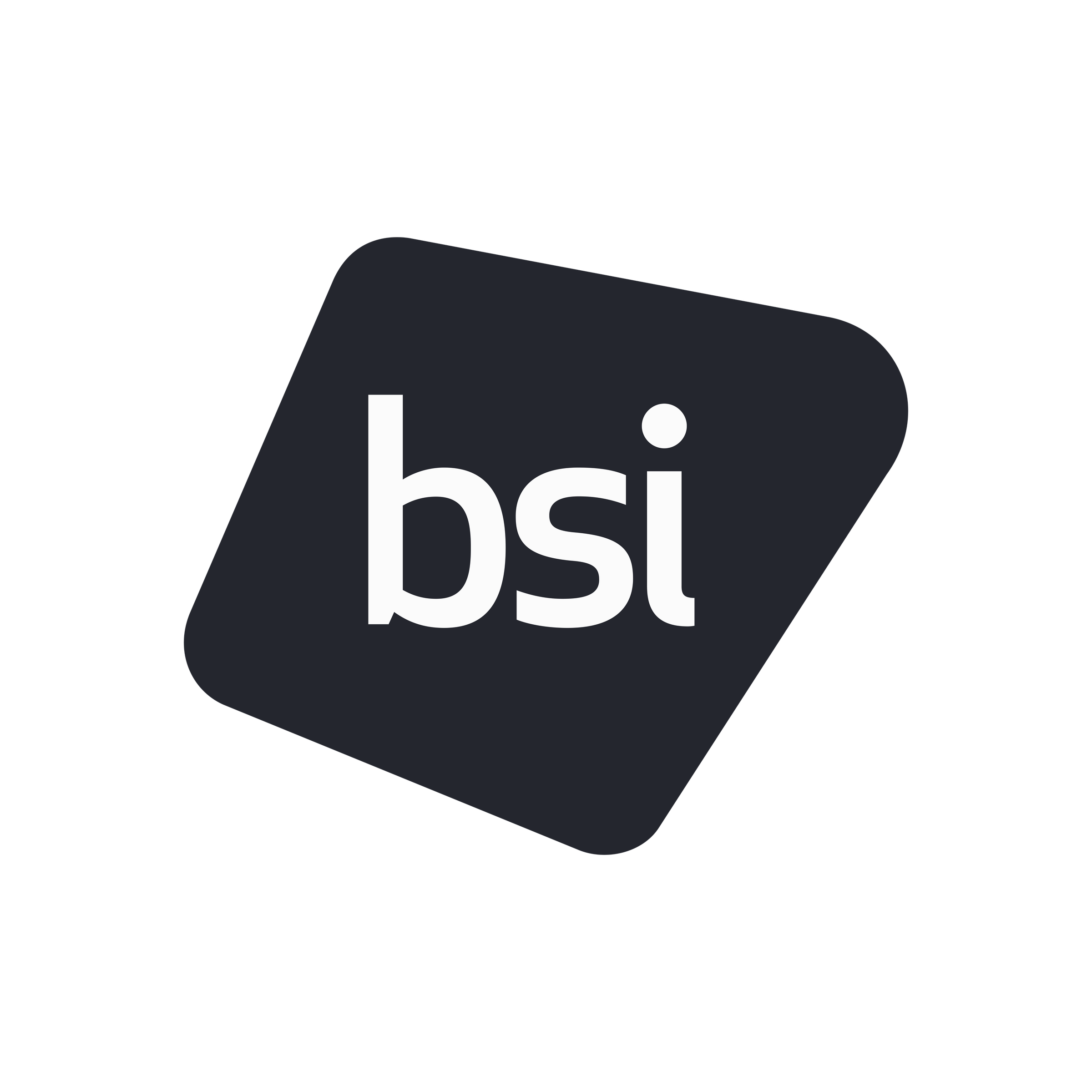 BSI Group Singapore Pte Ltd