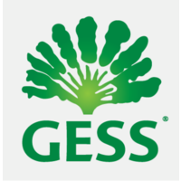 German European School Singapore